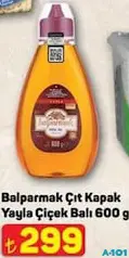 BALPARMAK ÇIT KAPAK YAYLA ÇİÇEK BALI 600 G